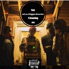 All A Nigga Knows Ft DreamsGang