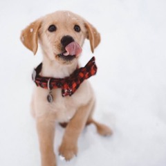 Say You Won't Let Go (cover)