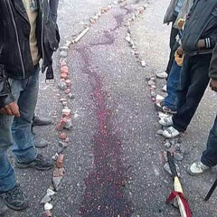 كاريكا فى قصيدة إنى رأيت اليوم