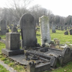 EVP "I Love You a little bit"