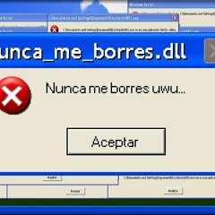 Nunca_me_borres.dll
