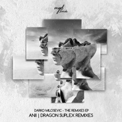 PREMIERE: Darko Milosevic - Toroidal Flow (Ańii Remix) [Making You Dance]