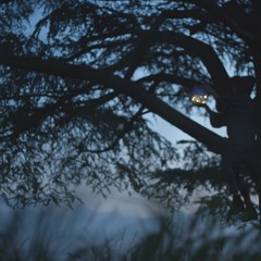 Living With The Moon