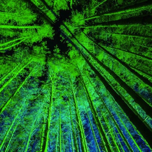 Through the Teepees (Ambient Nights live cut)