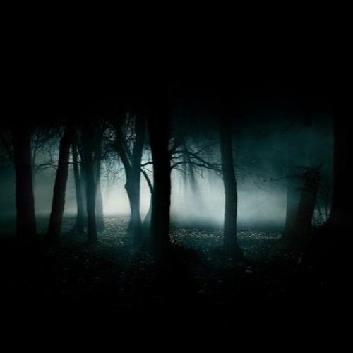 Escape From The Forest Remastered