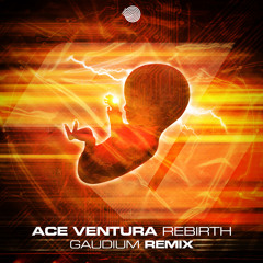 Ace Ventura - Rebirth(Gaudium Remix)- Out Now!