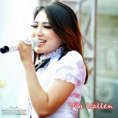 Via Vallen Suket Teki