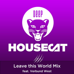 Deep house cat
