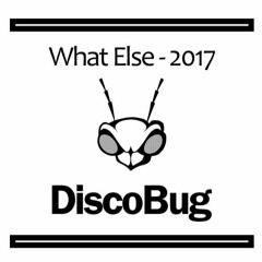 DiscoBug - What Else ( 2017 )