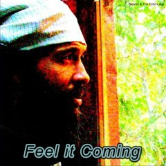 Feel it Coming - Sennid & The Echo Lair