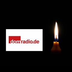 Interview Aleppo-Schweigemarsch (domradio)