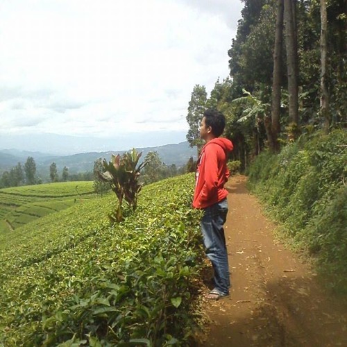 Dayu Ag Kitty Andri Birunya Cinta Mp3 By Putrana Chikald