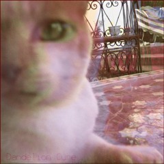 Central Park Misconception