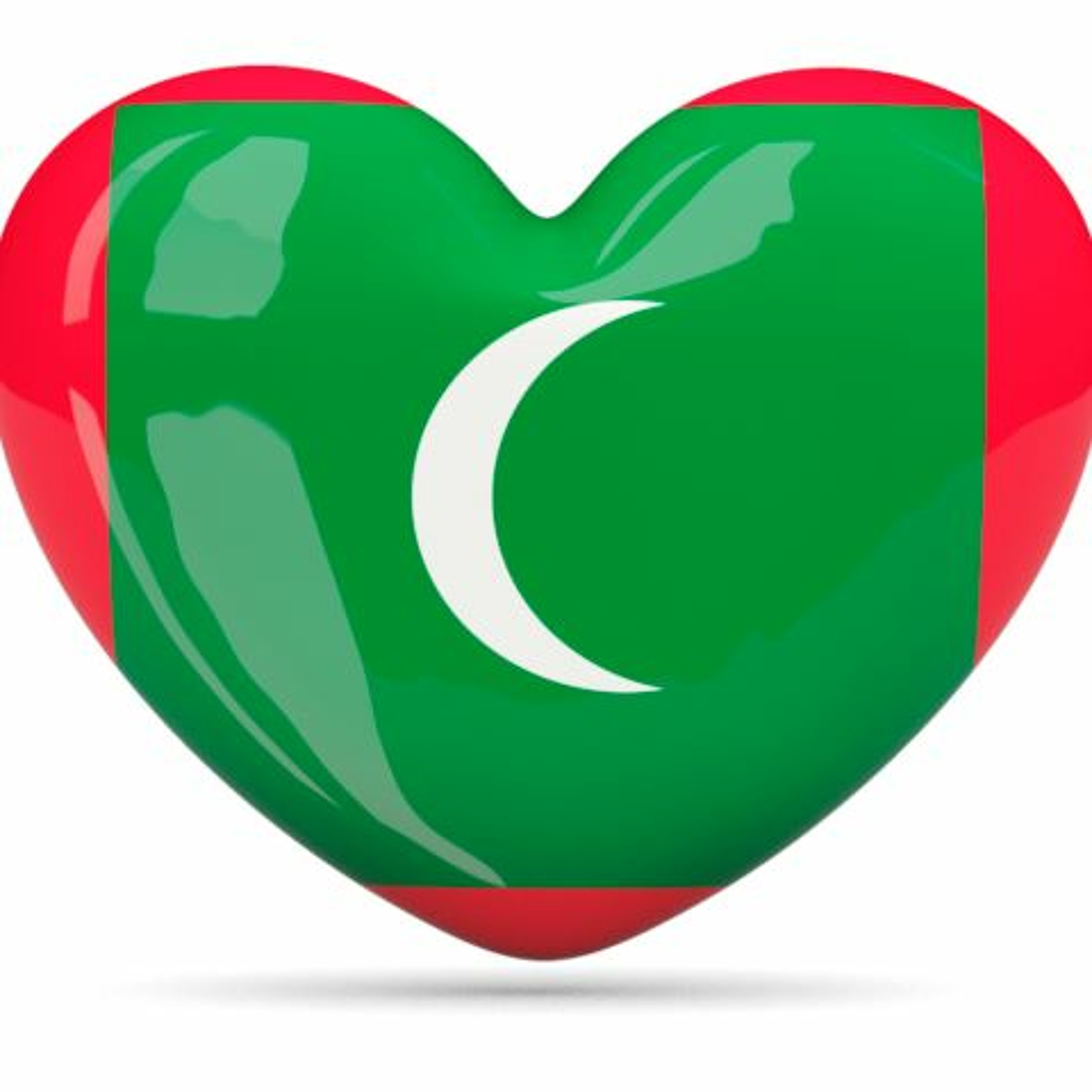 Moosa Anwar