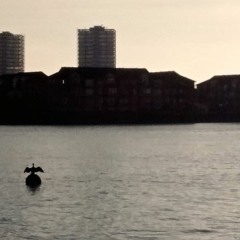 Prehistoric WIngs work in Progress