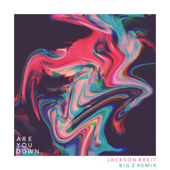 Jackson Breit - Are You Down (Big Z Remix)