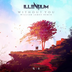 Illenium - Without You ft. SKYLR (William James Remix)