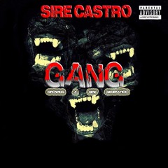 GANG PROD BY PIFFMANN