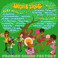 11 - Drum Tree Demo - Funk Fusion