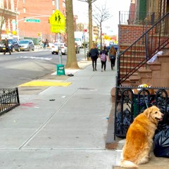 Aquatic Werewolf #1 (Feat. Frank Loesser)