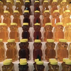 The Honey Hunters of Bicorp