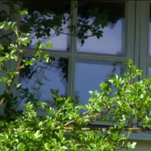 خوفي عليك -وليد الشامي