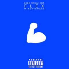 Flex (Prod. Josh Petruccio)