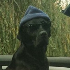 Dubstep/Trap Tuesday (112th Edition)