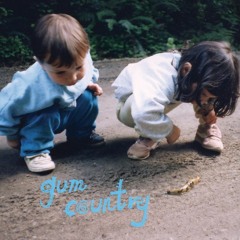 GUM COUNTRY - "Brain Song"