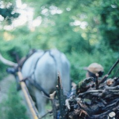 Brikabrak Márkos varázslás