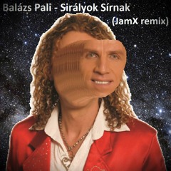 Balázs Pali - Sirályok Sírnak (JamX remix)