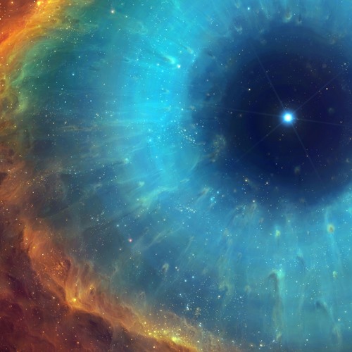 Apollo Rising | Terry Devine-King
