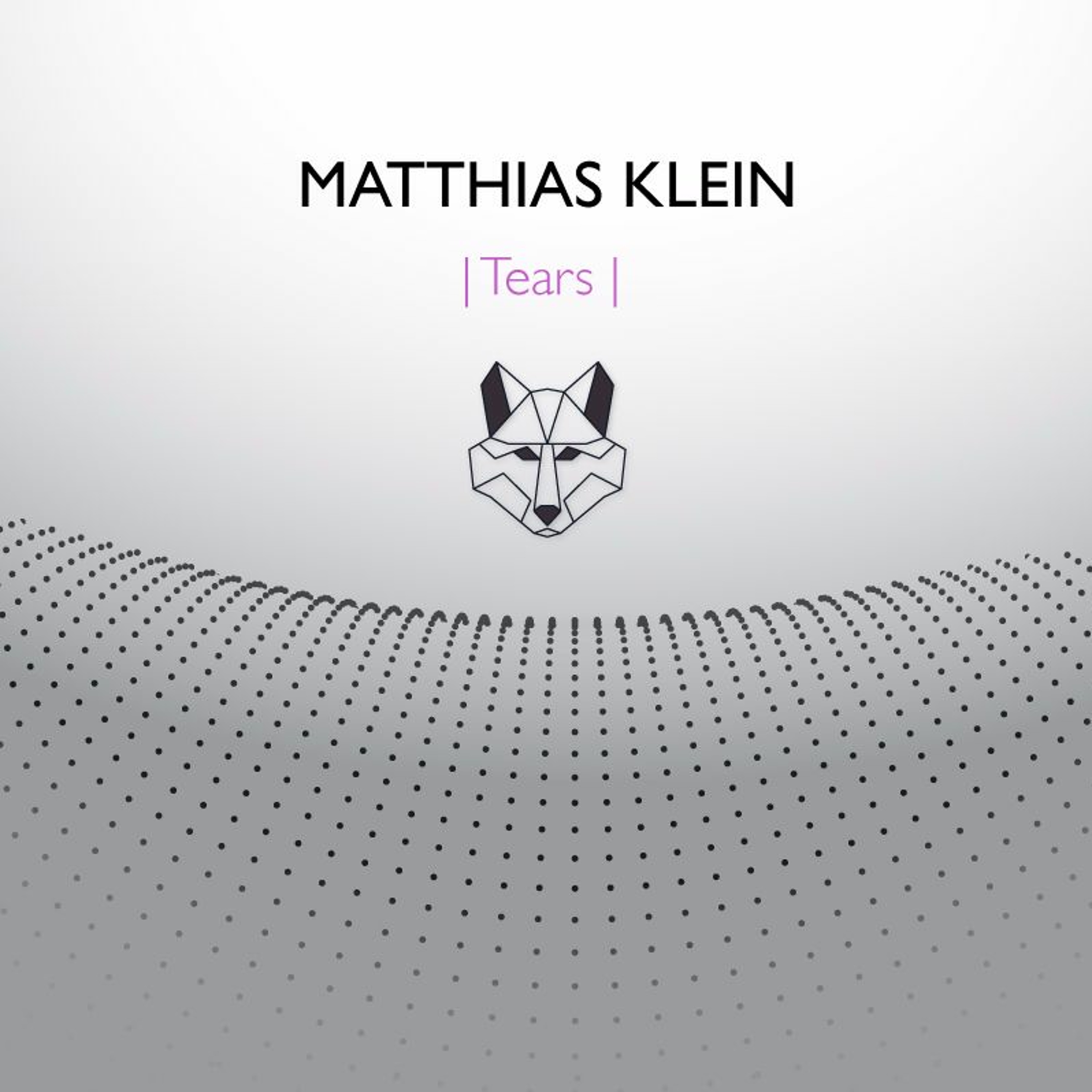 Matthias Klein