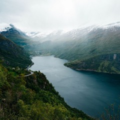 No Lion - Boom Forest (feat. Phox) Cover