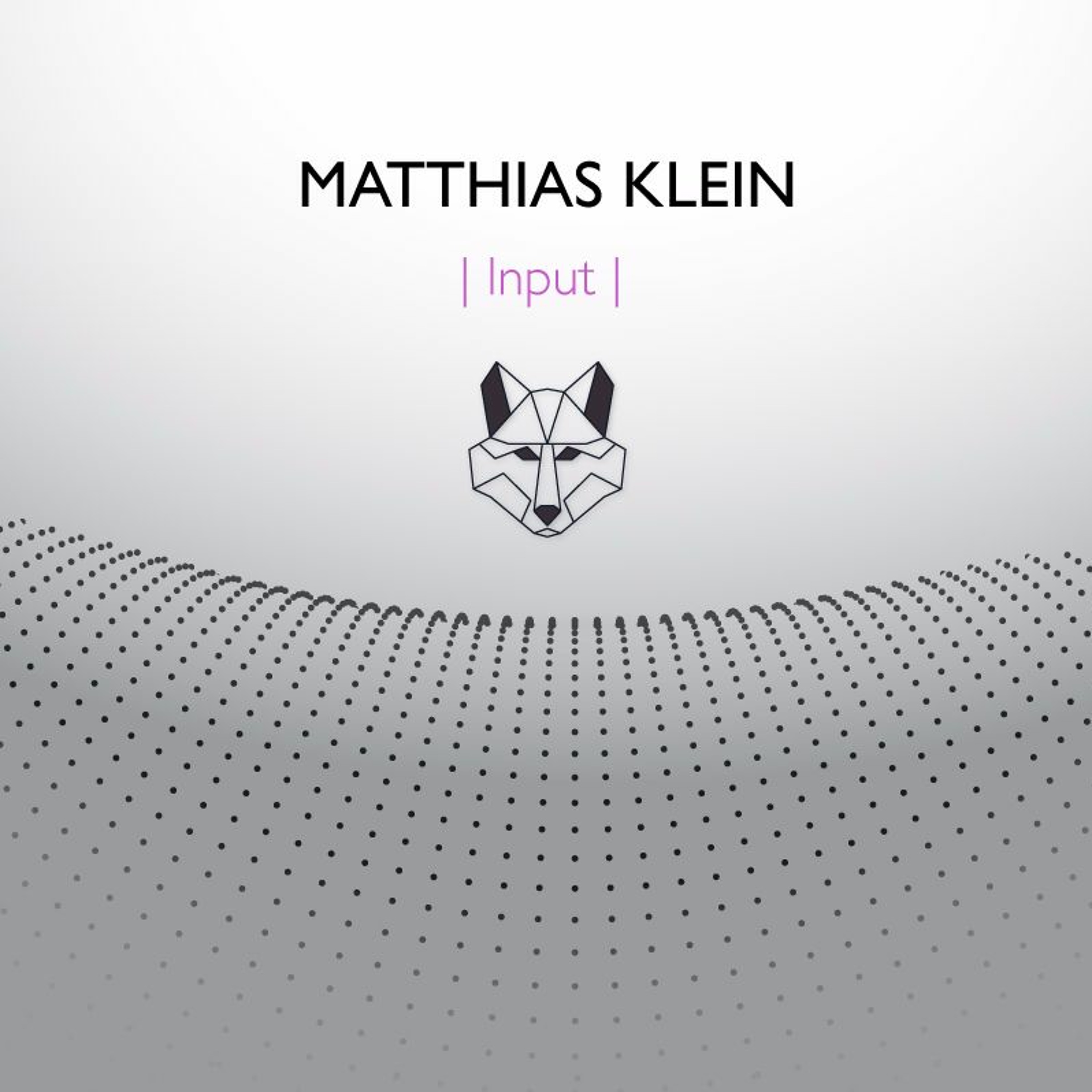 Matthias Klein