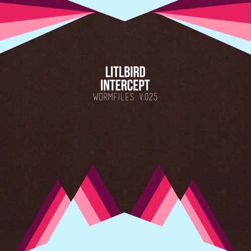 LITLBIRD - INTERCEPT