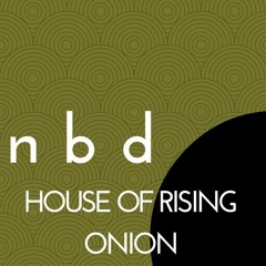 Night by Day - House Of Rising Onion