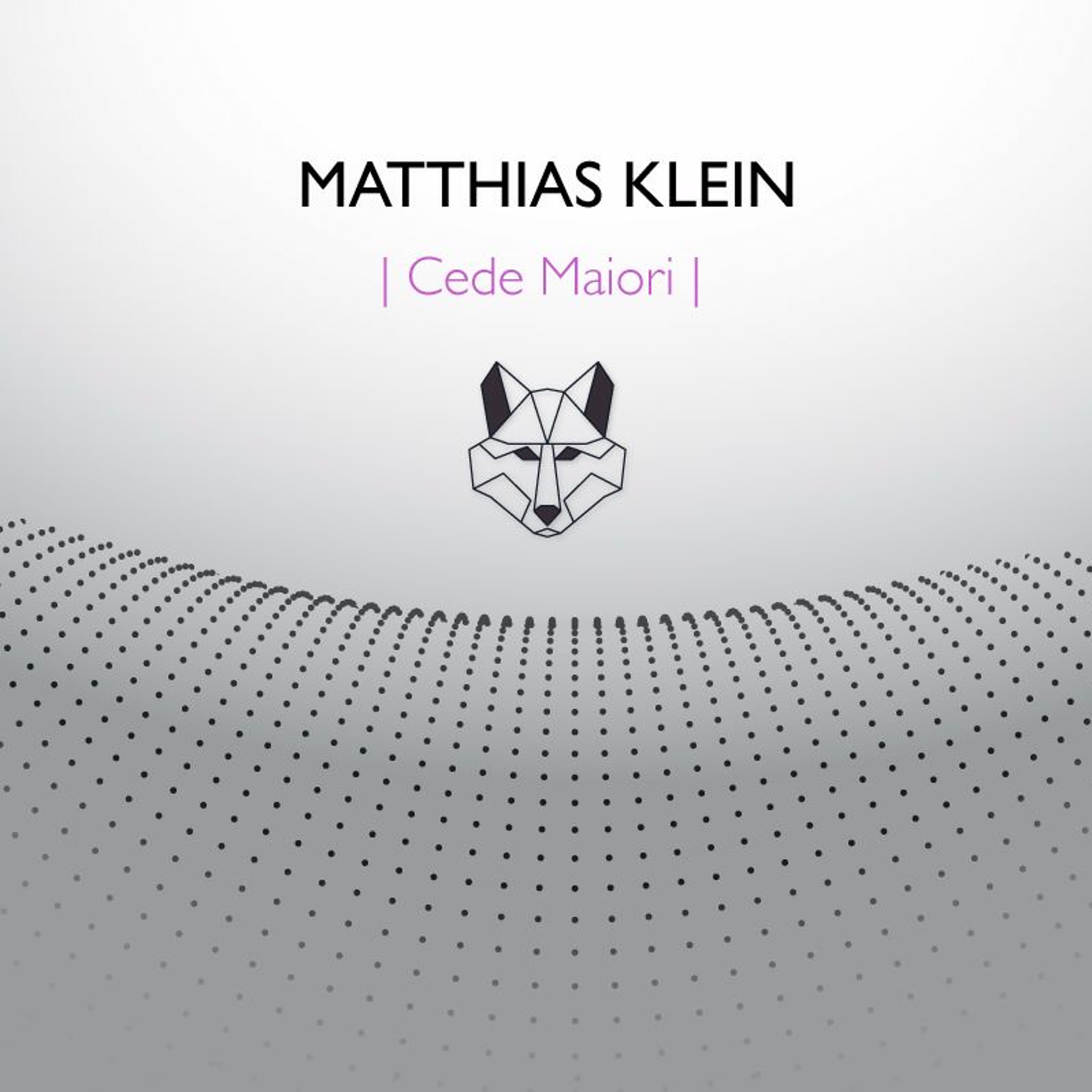 Matthias Klein