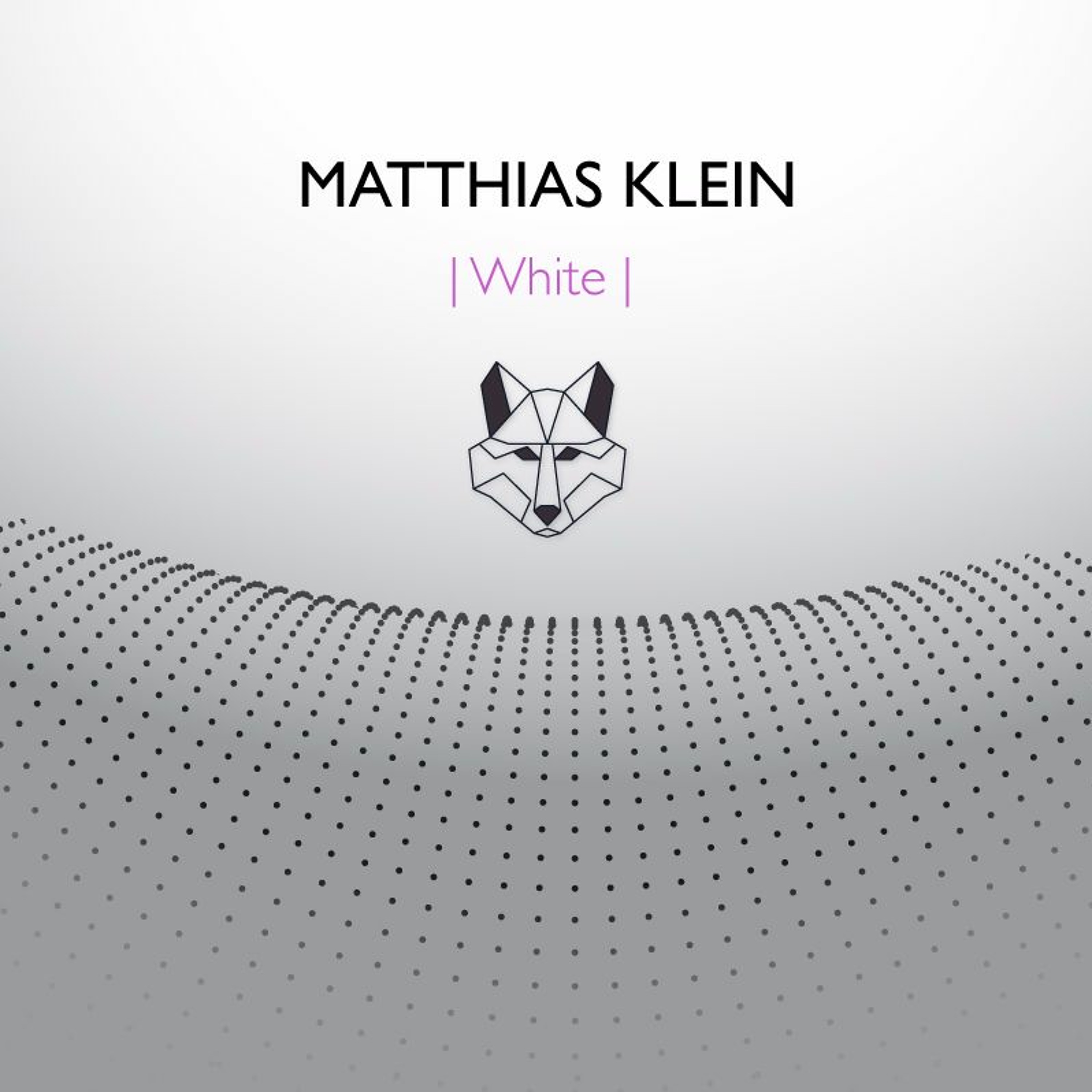 Matthias Klein