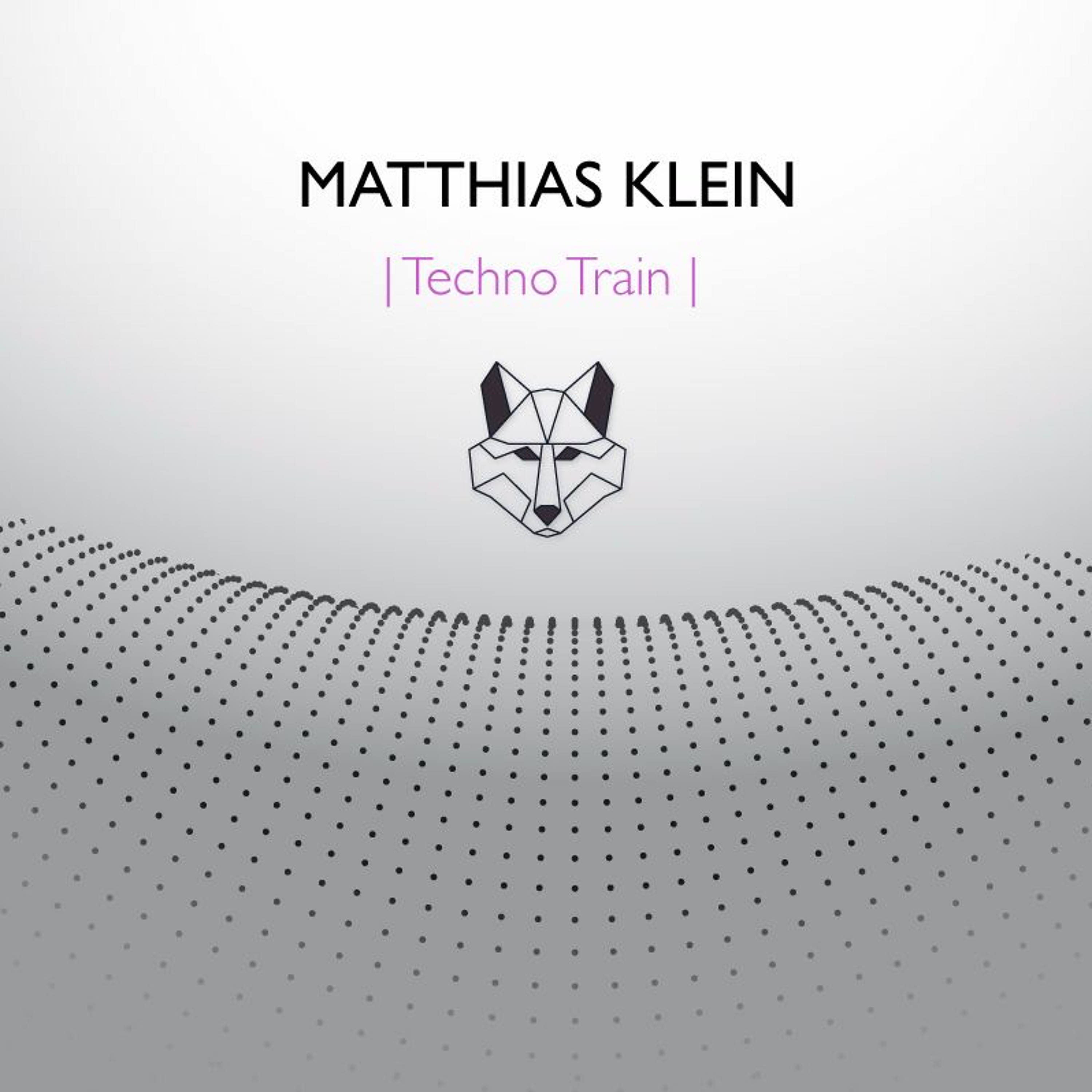 Matthias Klein