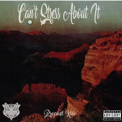 Can't Stress About It