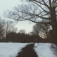 These Days (nico//jacksonbrowne) cover