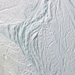 Pollux