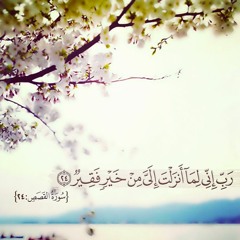 Sh. Bandar balila ‖ Surat AlQasas ‖ Kasas Suresi ‖ الشيخ بندر بليلة ‖سُورة القصص