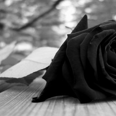 A Moment of Sincerity (Instrumental)