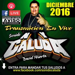 La Cumbia De La Chispita Los Daddys De Chinantla Sonido  Caluda En Vivo Dic 16