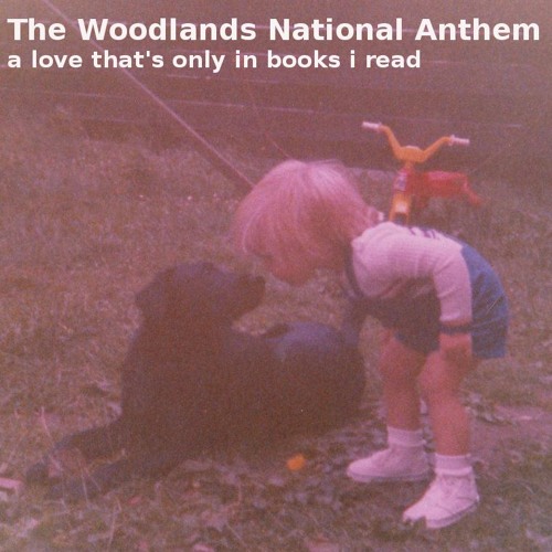 Never as Tired as when I'm Waking Up (Original by LCD Soundsystem)