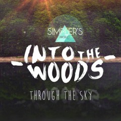 Through The Sky feat. Ross David