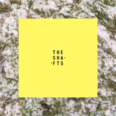 Daddy's Christmas Tree