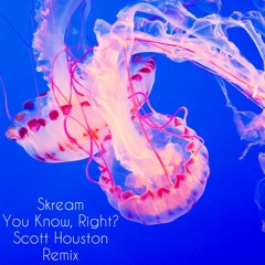 Skream - You Know, Right? - (Scott Houston Remix)